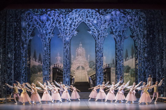 diotoro3 foto palyi zsofia