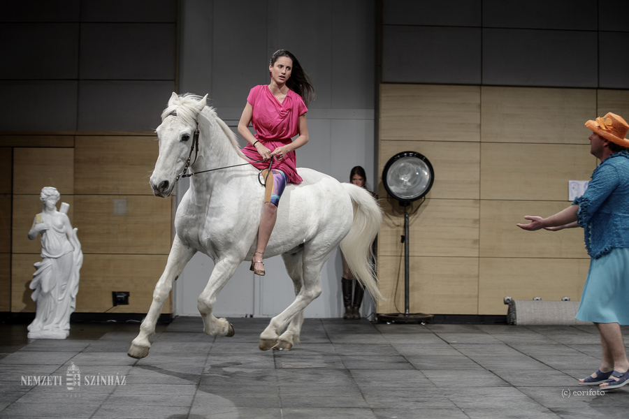 Hippolutosz eorifoto 9576